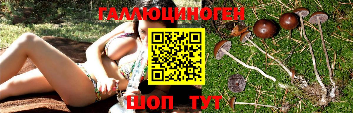 Омск  наркота  Вход с VPN  Псилоцибиновые грибы MAGIC MUSHROOMS 