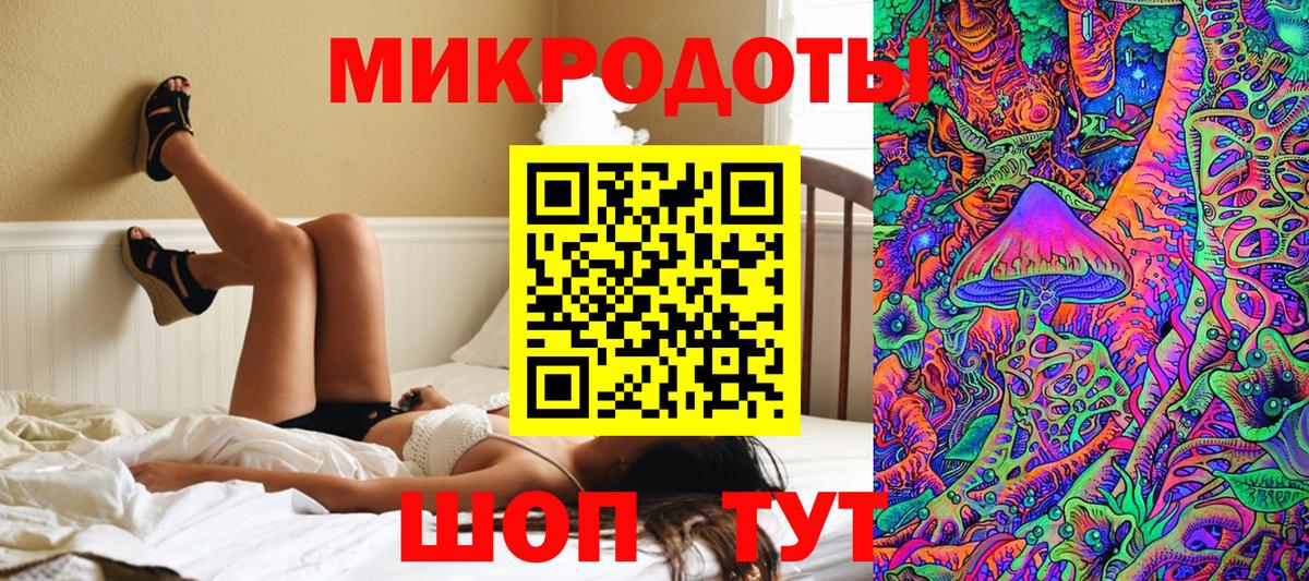 Псилоцибиновые грибы Psilocybine cubensis Омск